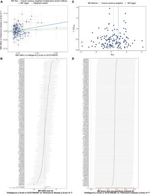 The causal effects of intelligence and fluid intelligence on Parkinson’s disease: a Mendelian randomization study
